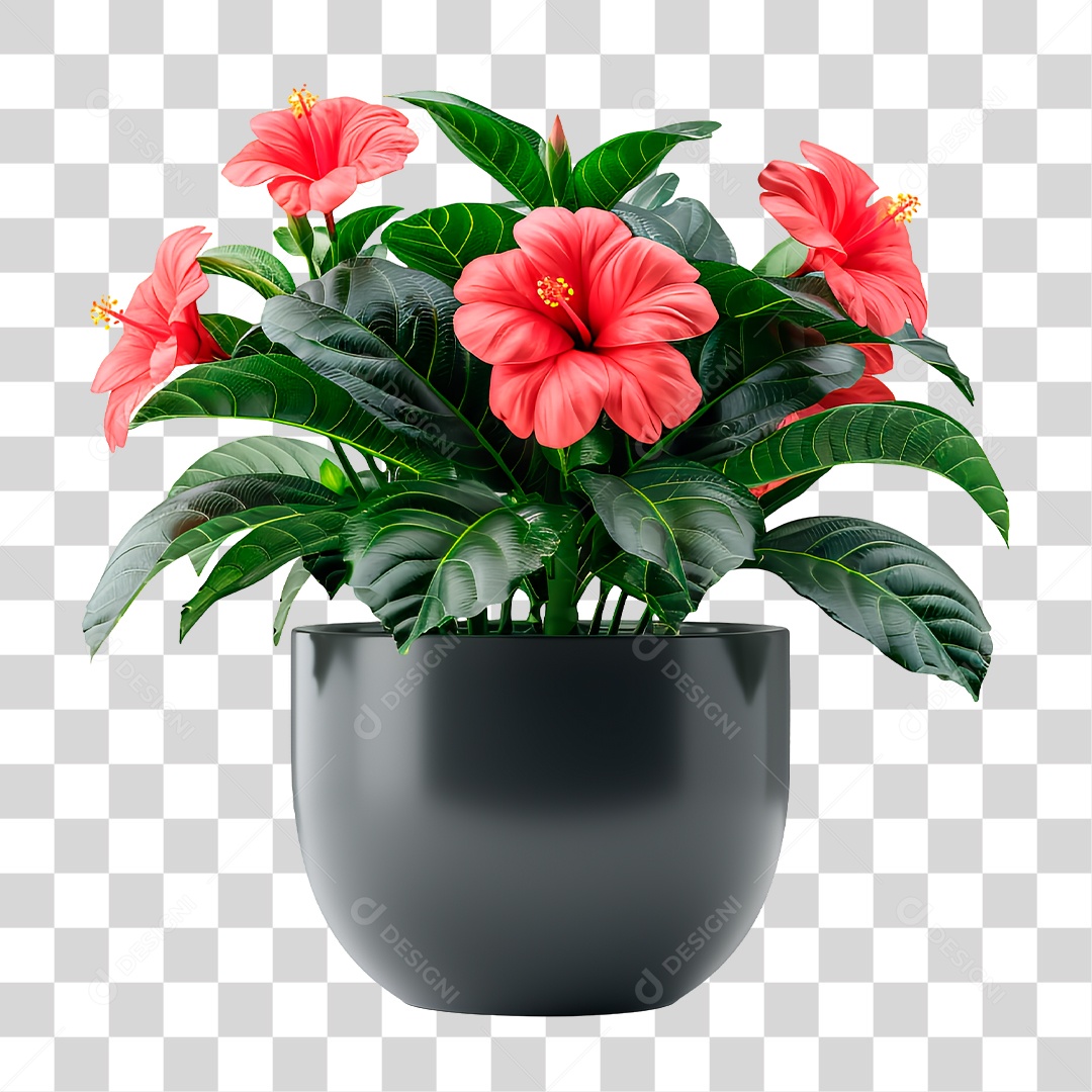 Planta PNG Transparente
