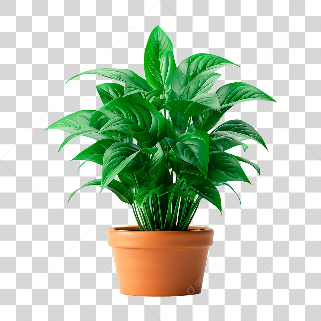 Planta PNG Transparente