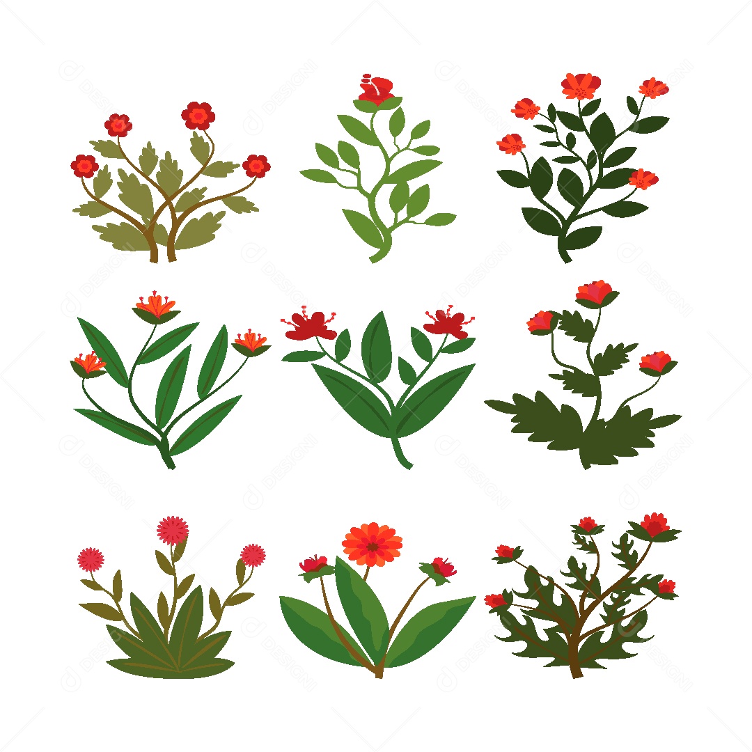 Coleção de Plantas Ilustração Vetor EPS