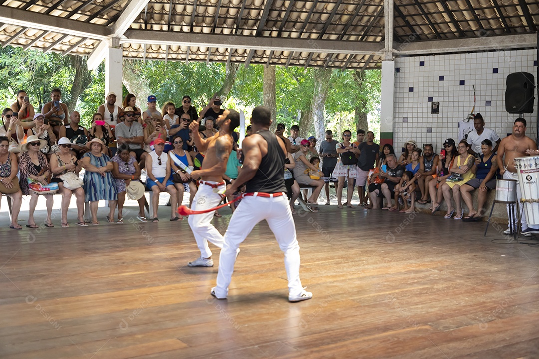 Capoeira luta afro brasileira