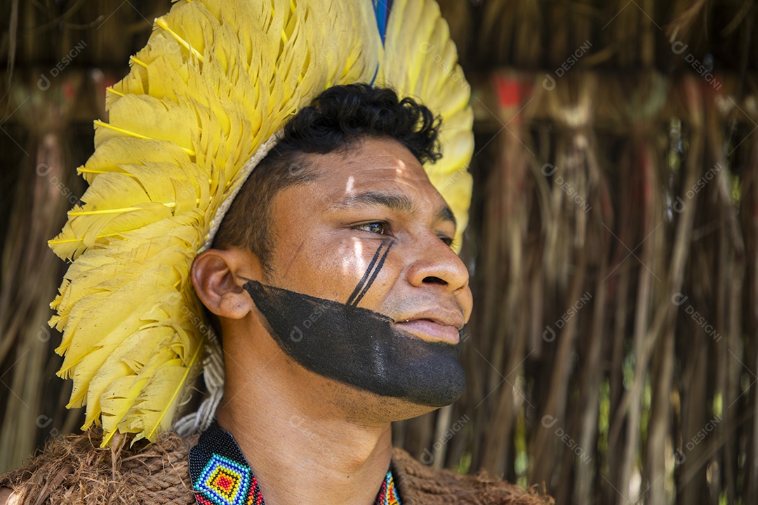 Homem com pintura e cocar indígena