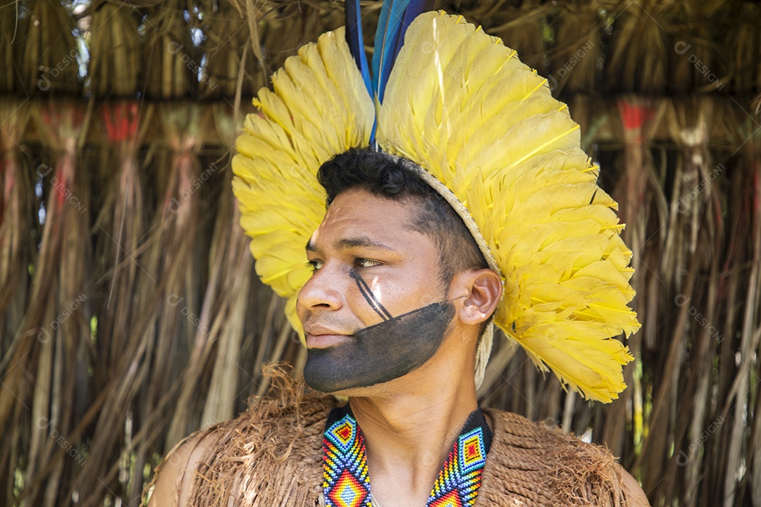Homem indígena com cocar e pintura