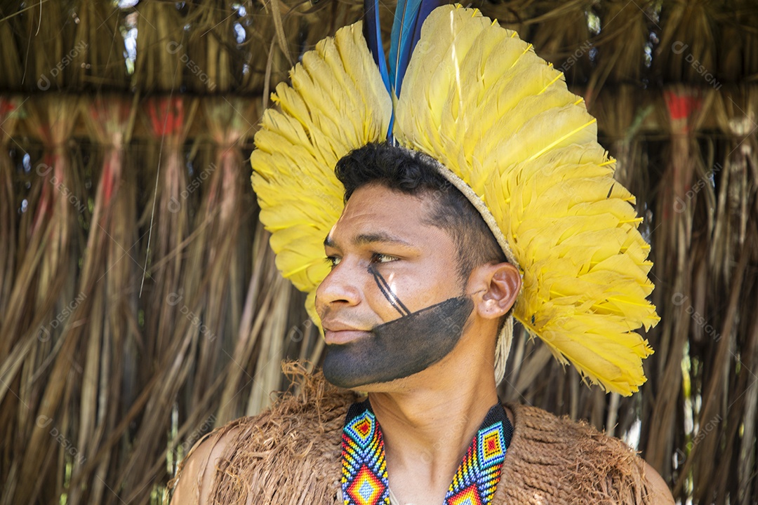 Homem indígena com cocar e pintura