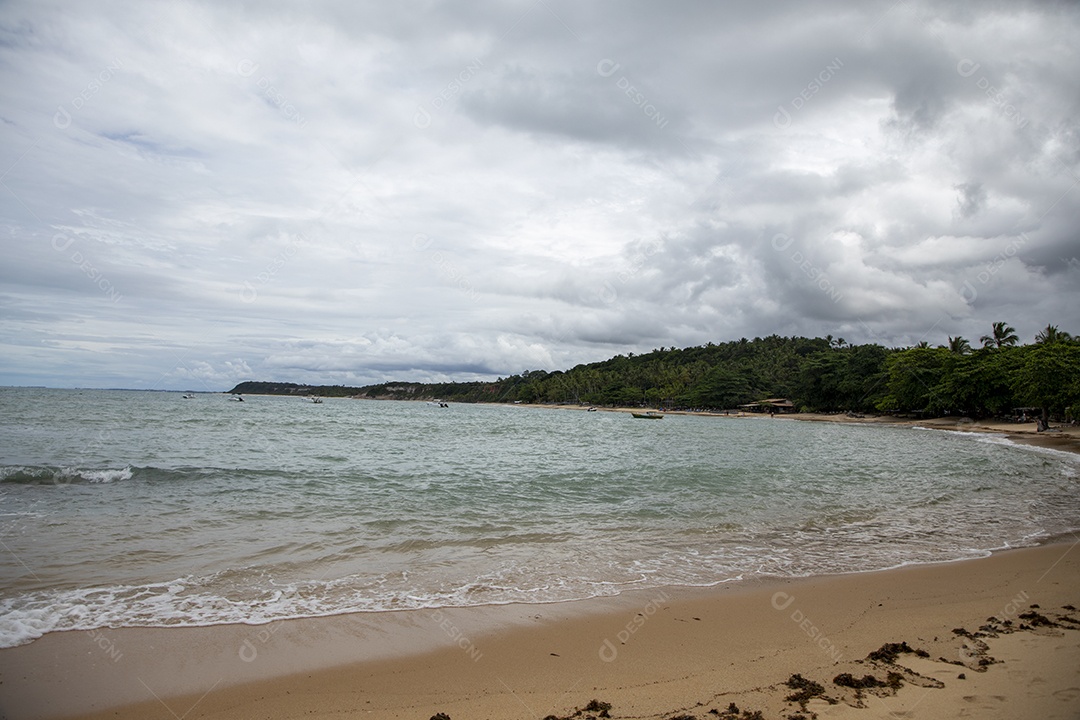 Praia maravilhosa com vista para uma mata