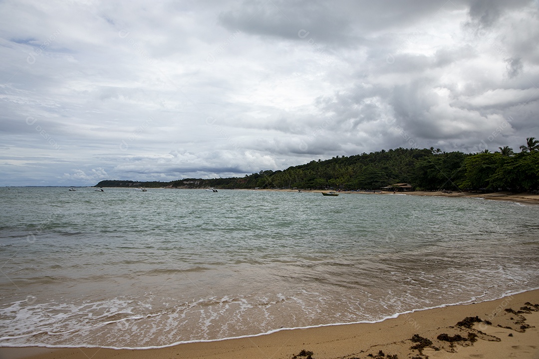 Praia linda com fundo de mata