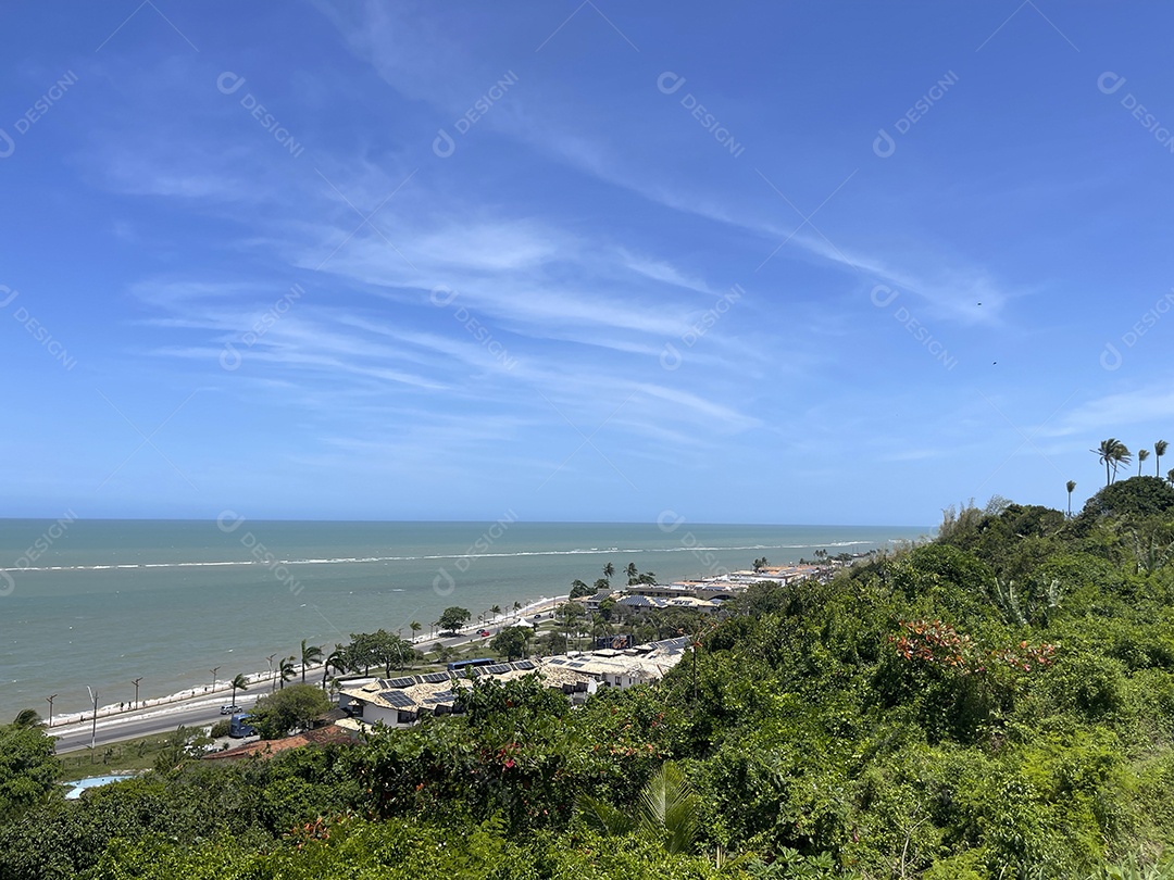 Árvores e praia contra céu azul