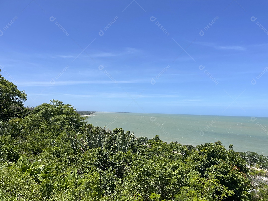 Floresta com fundo de um mar lindo