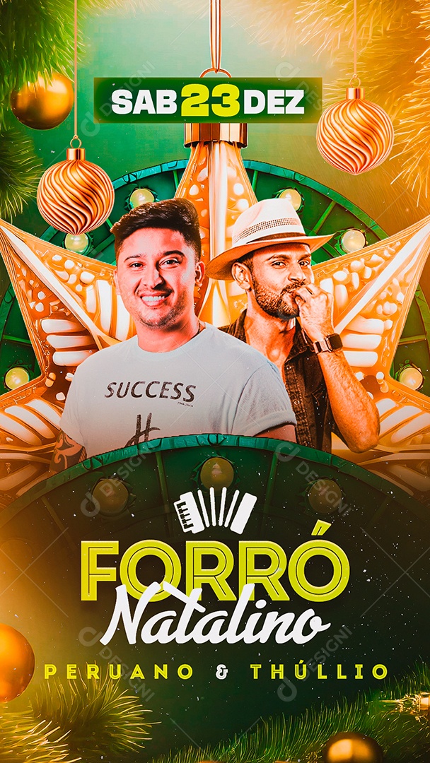 Story Flyer Forró Natalino Social Media PSD Editável