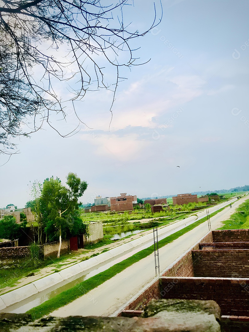 Uma estrada com alguns prédios e uma árvore com fundo de céu