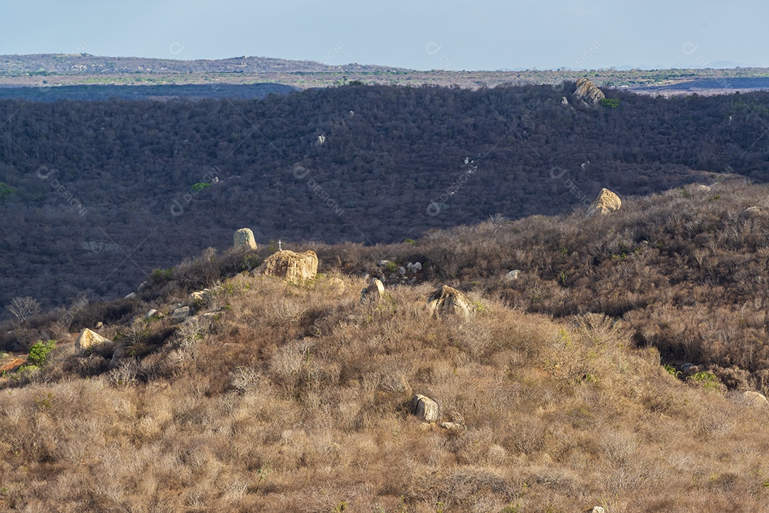 Vegetação e paisagem na estação seca
