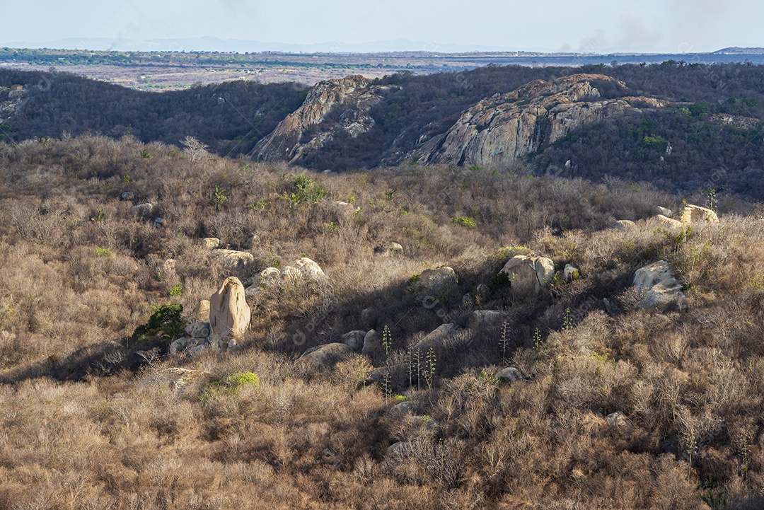Vegetação e paisagem na estação seca