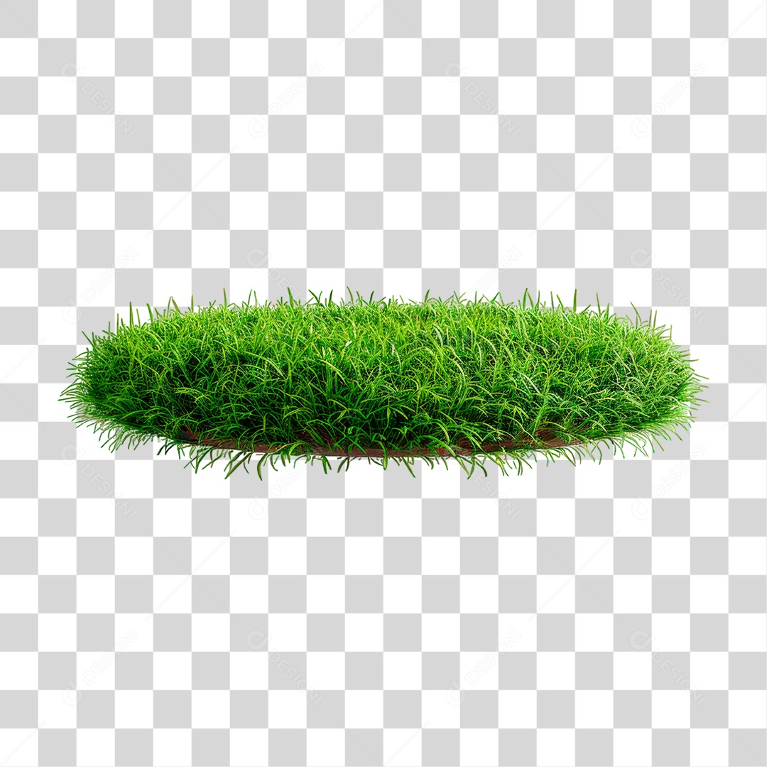 Capim Verde PNG Transparente