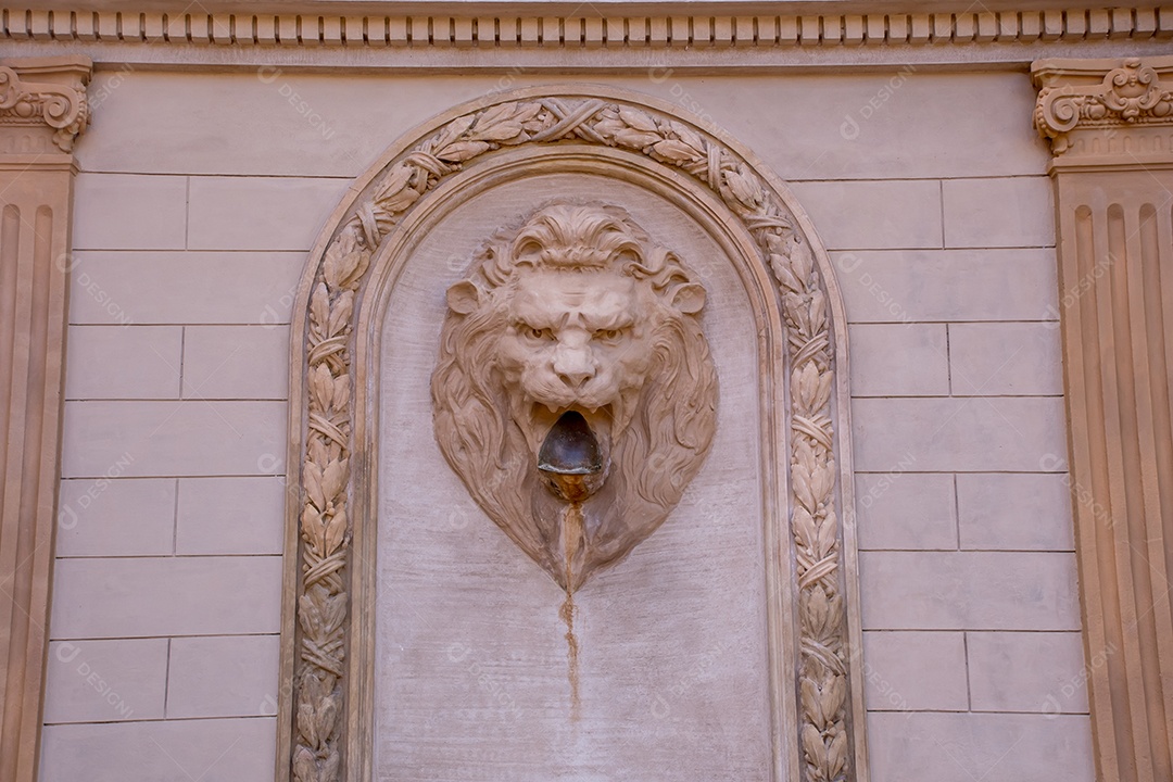 Bela estátua de leão de pedra na parede