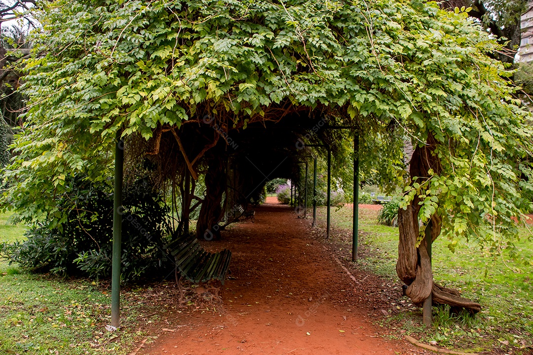 Jardim com túnel de plantas no jardim botânico de Buenos Aires Argentina