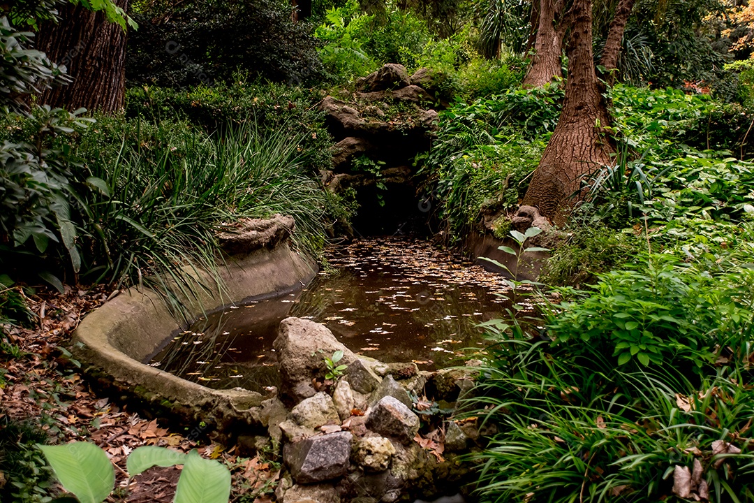 Lago no jardim botânico de Buenos Aires Argentina