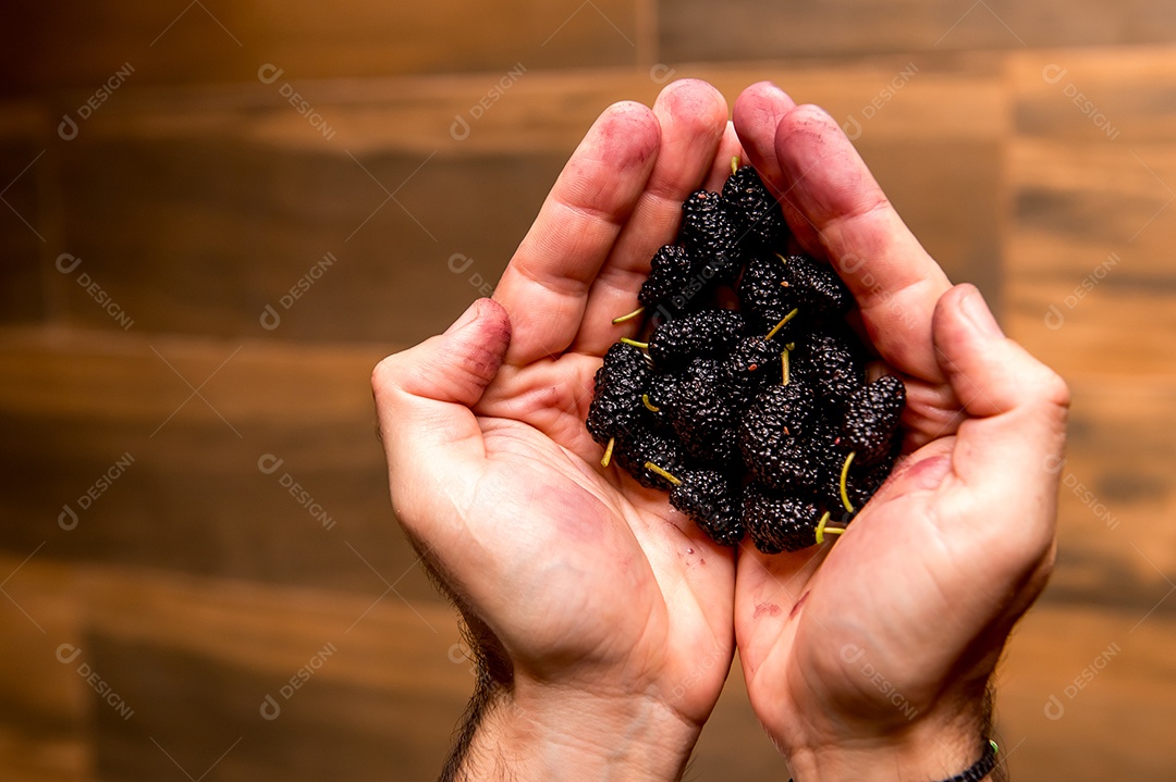 Mãos segurando a vista superior de amoras