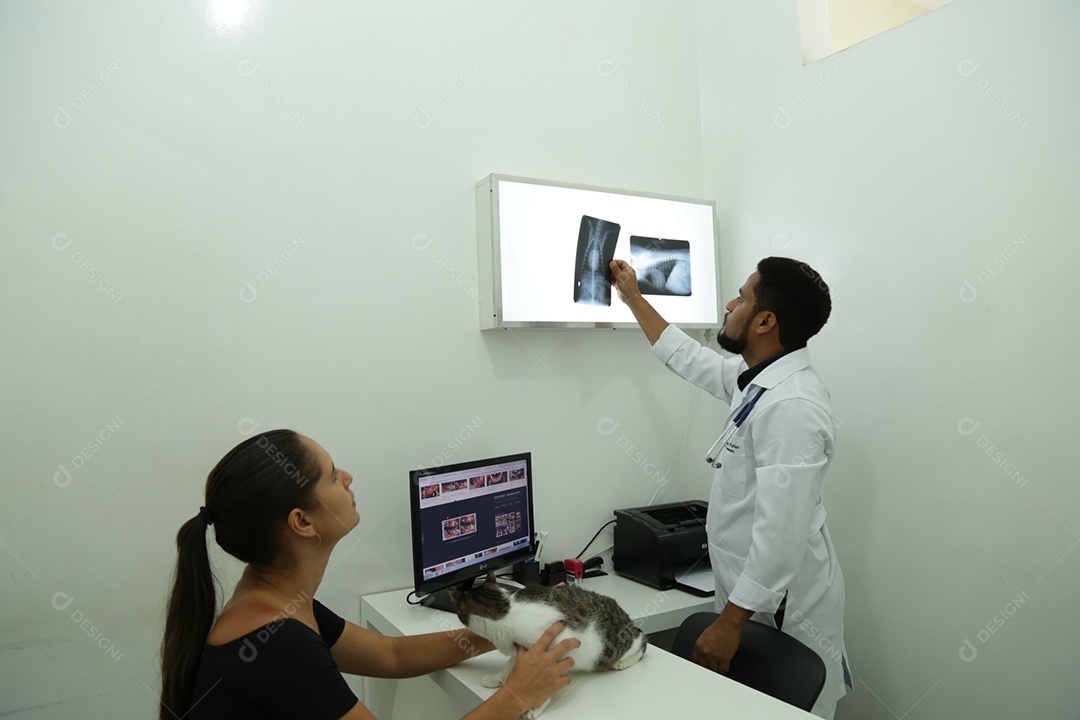 Pediatra analisando raio-x de um gato sobre mesa em laboratótio