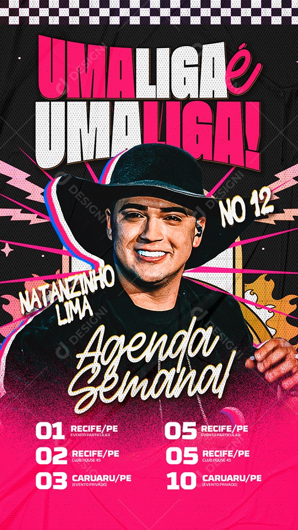 Story Flyer Agendas de Shows Natanzinho Social Media PSD Editável