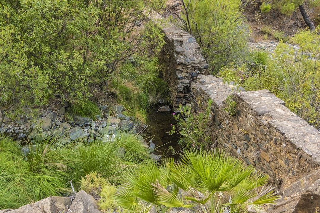 Ruínas de uma ponte de pedra no meio da natureza da região de Tolox