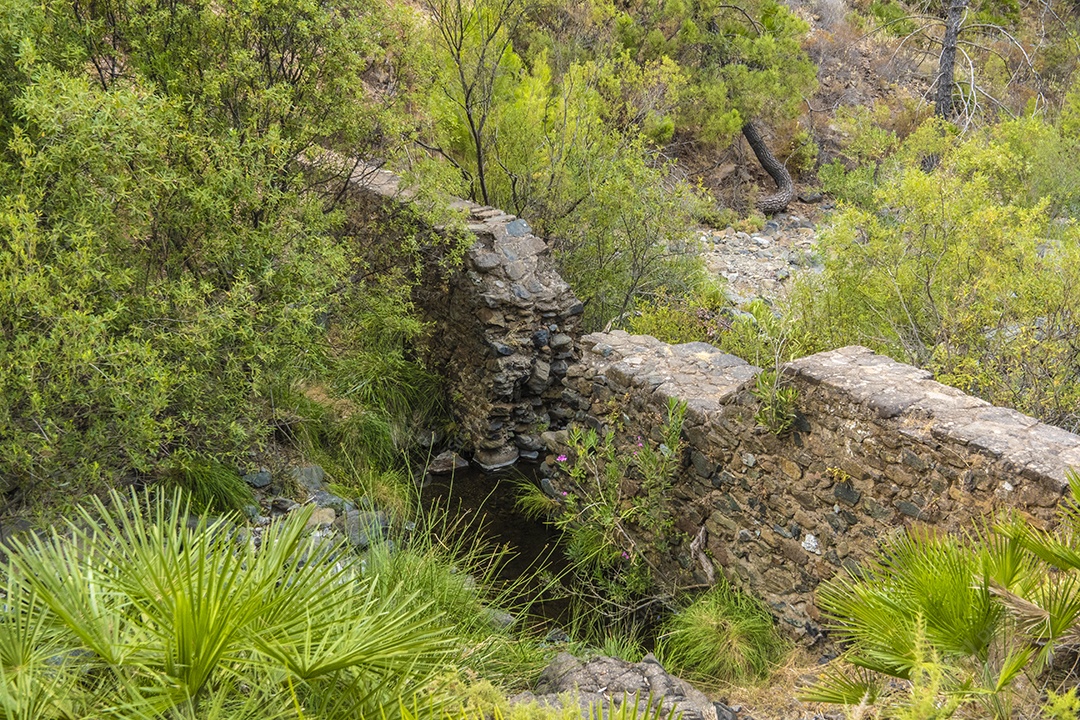 Ruínas de uma ponte de pedra no meio da natureza da região de Tolox