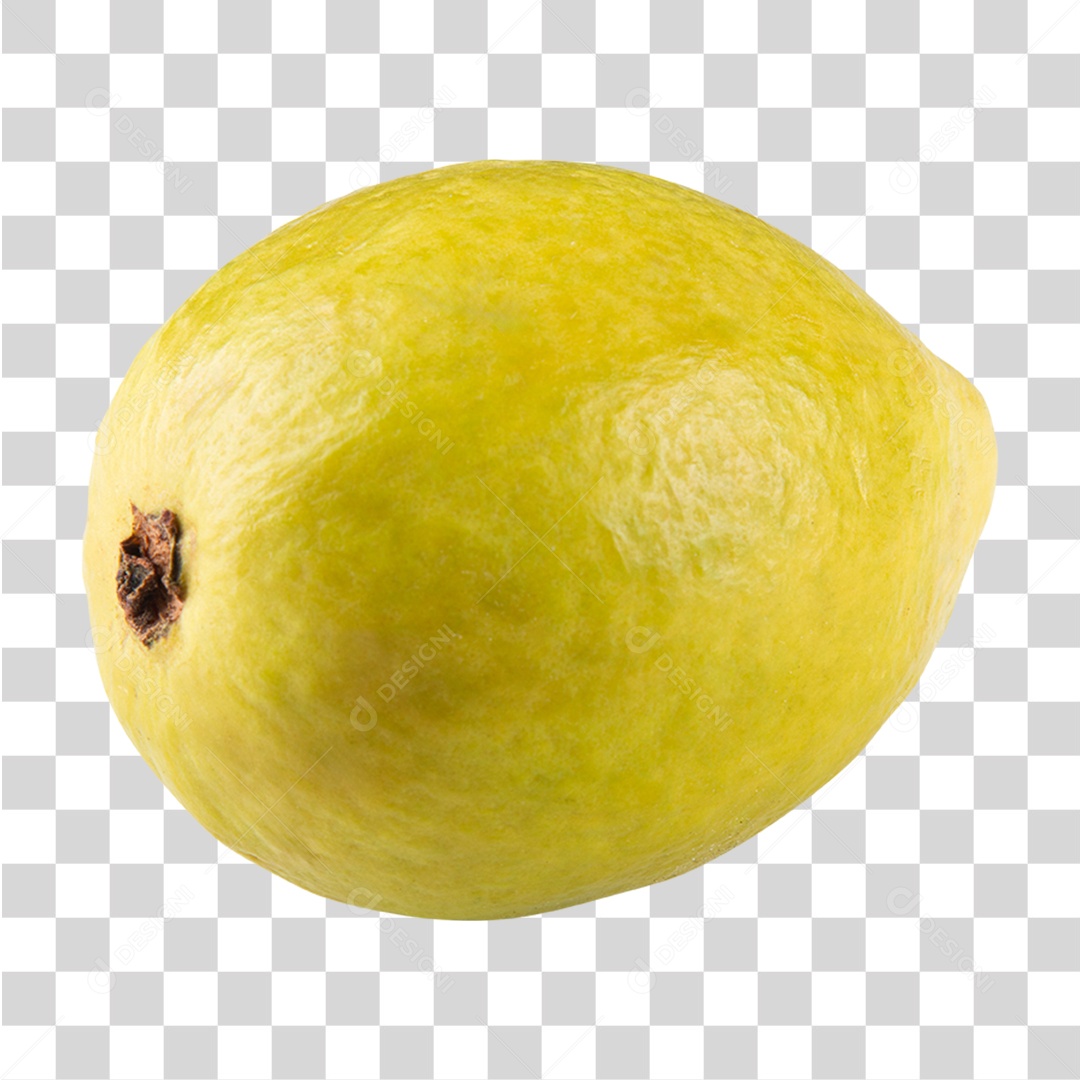 Fruta Goiaba PNG Transparente