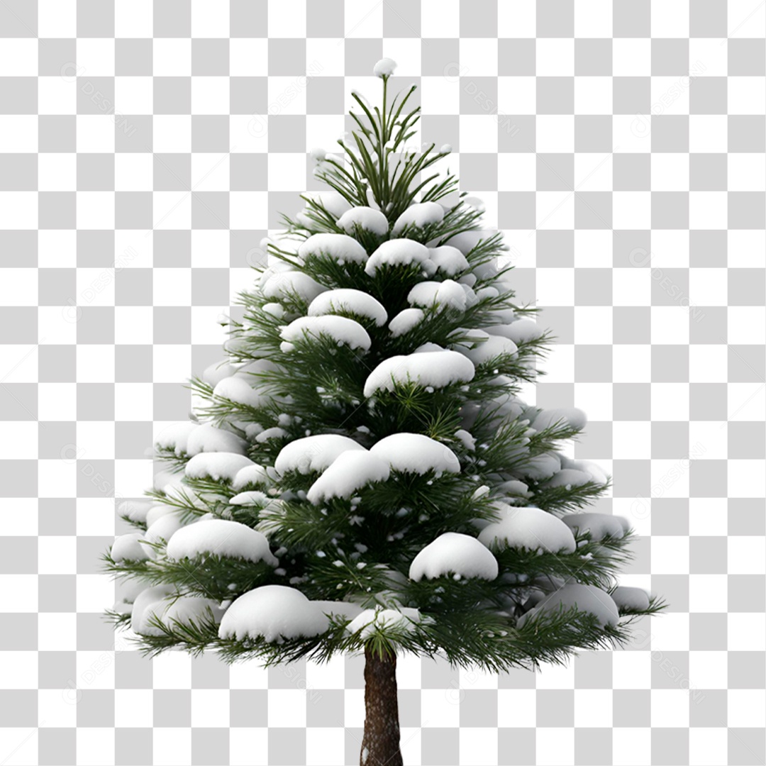 Pinheiro Cheio de Neve PNG Transparente