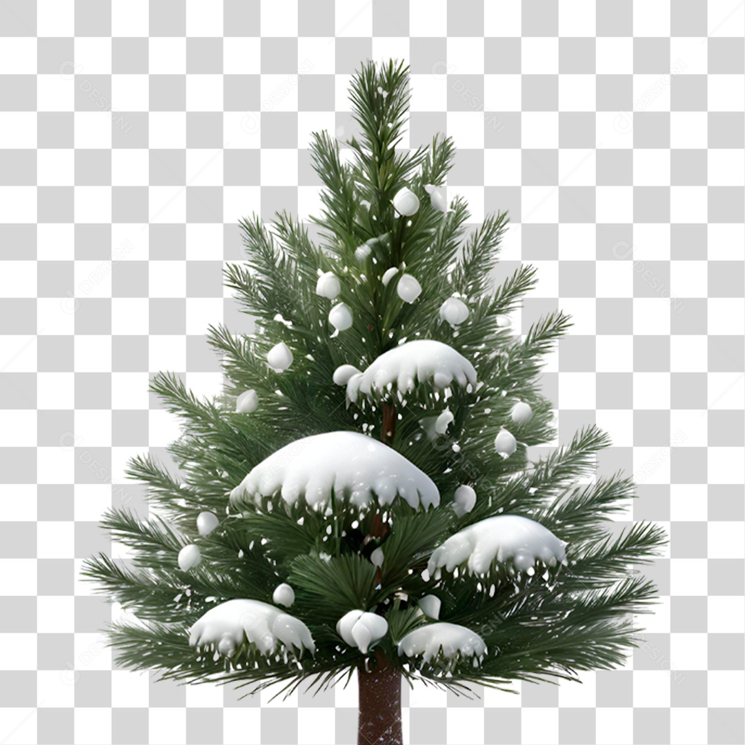 Pinheiro Cheio de Neve PNG Transparente