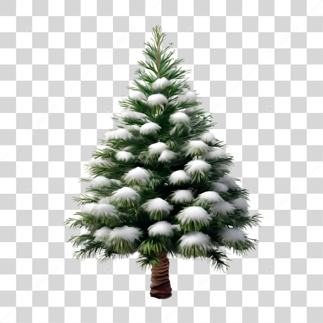 Pinheiro Cheio de Neve PNG Transparente