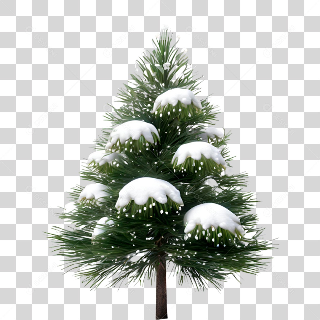 Pinheiro Cheio de Neve PNG Transparente