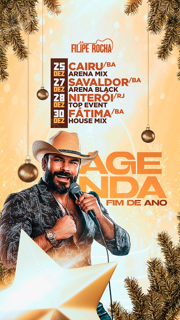 Flyer Shows Fim de Ano Social Media PSD Editável