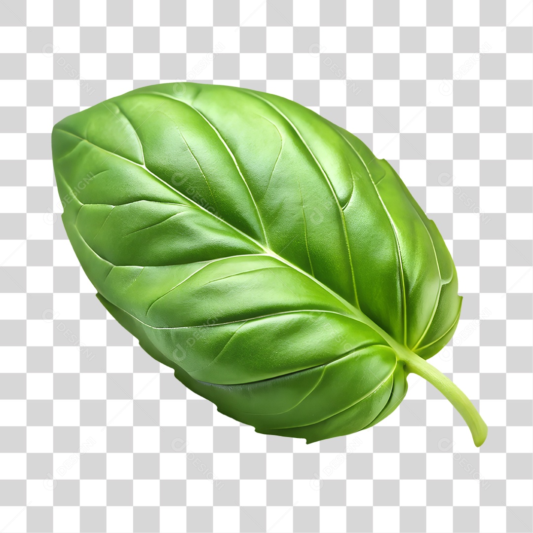 Manjericão Elemento 3D para Composição PNG Transparente