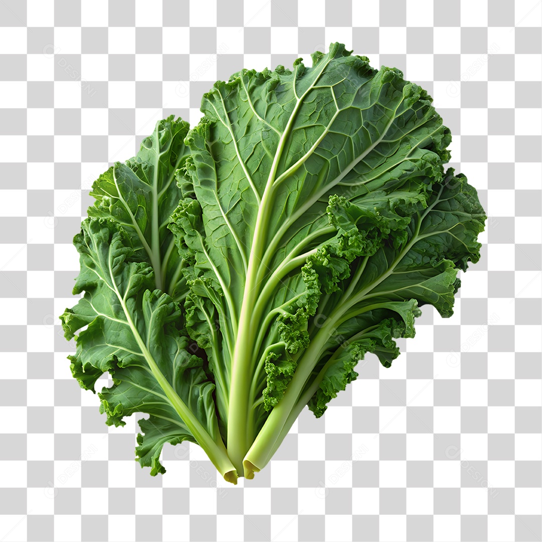 Couve Elemento 3D para Composição PNG PNG Transparente