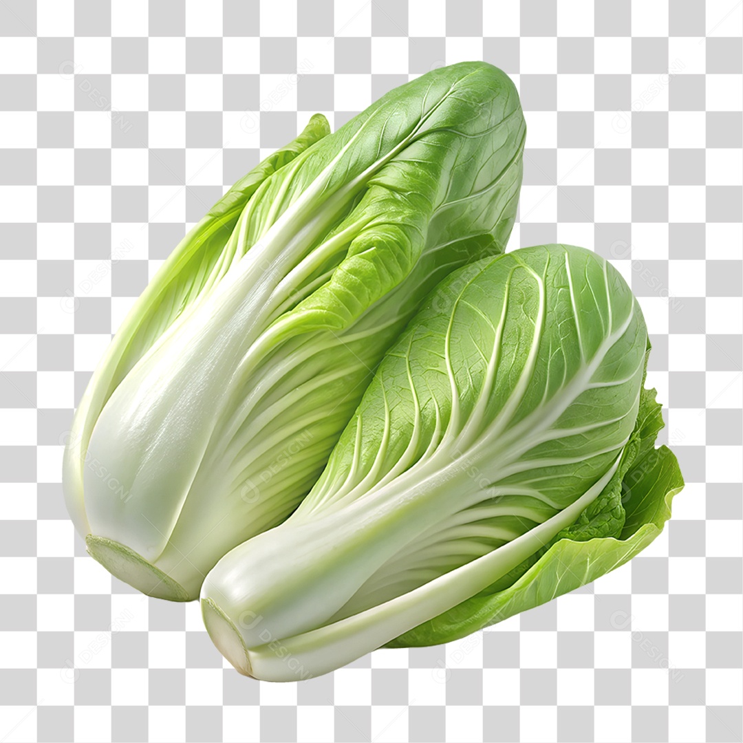 Verdura Folhas Elemento 3D para Composição PNG Transparente