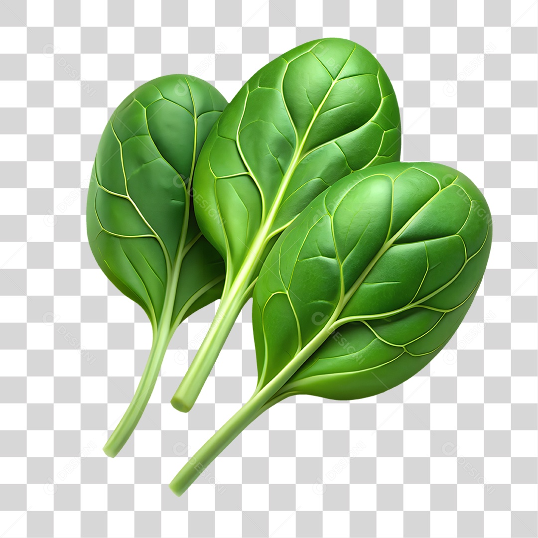 Espinafre Elemento 3D para Composição PNG Transparente