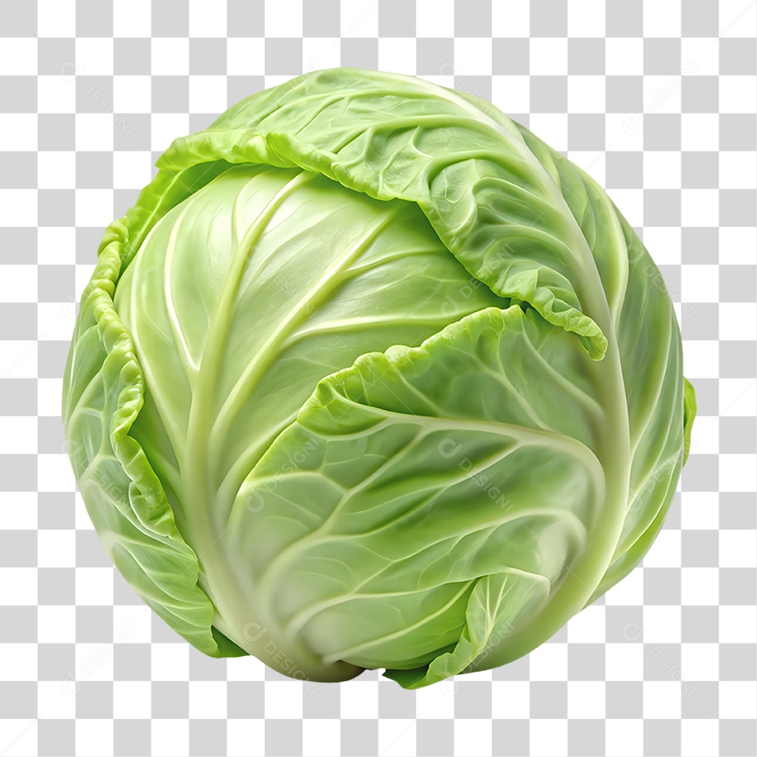 Repolho Elemento 3D para Composição PNG Transparente