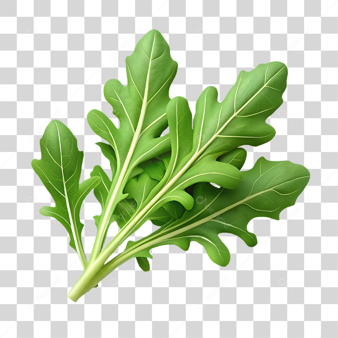 Rúcula Elemento 3D para Composição PNG Transparente