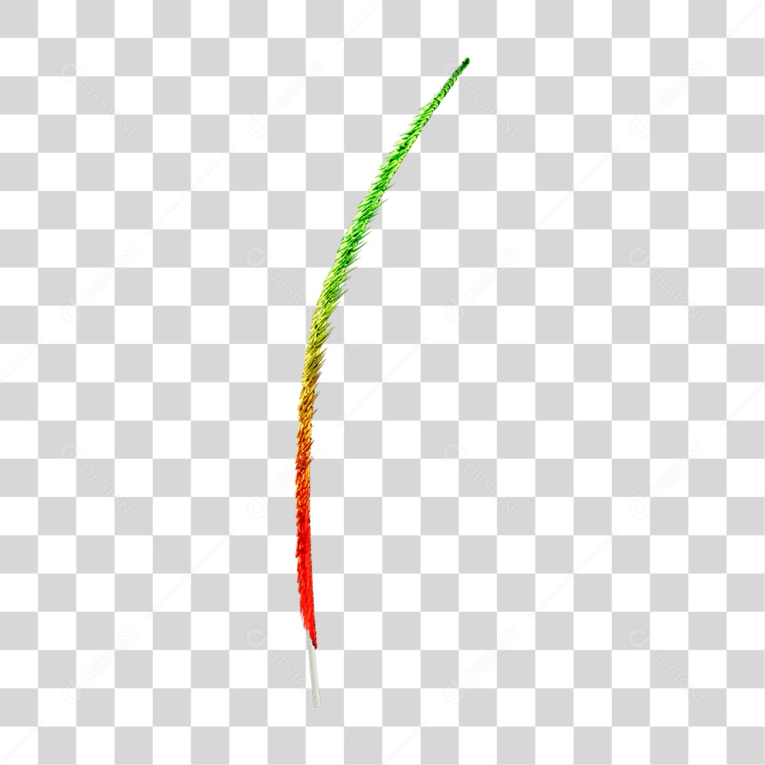 Pena Decoração Enfeite de Carnaval PNG Transparente