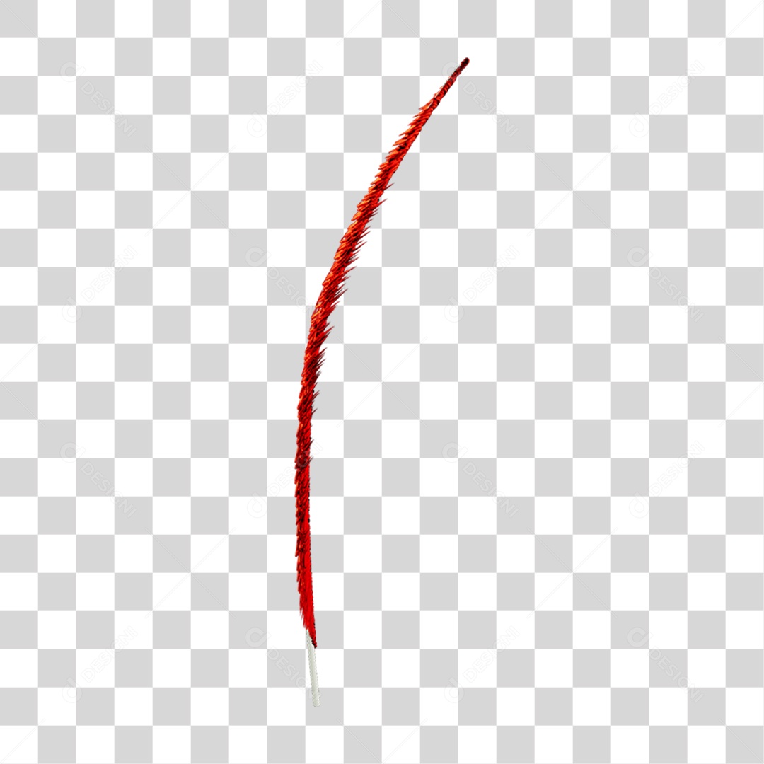 Pena Decoração Enfeite de Carnaval PNG Transparente