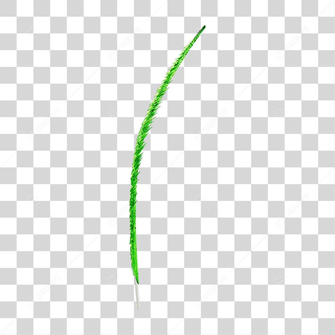 Pena Decoração Enfeite de Carnaval PNG Transparente