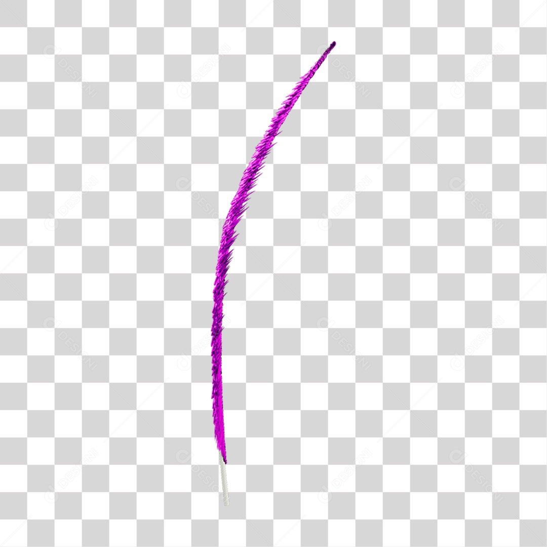 Pena Decoração Enfeite de Carnaval PNG Transparente