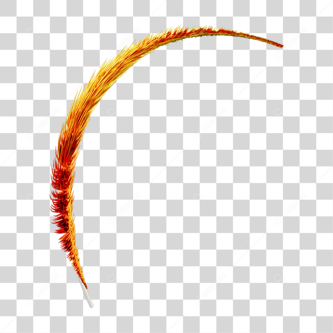 Pena Decoração Enfeite de Carnaval PNG Transparente