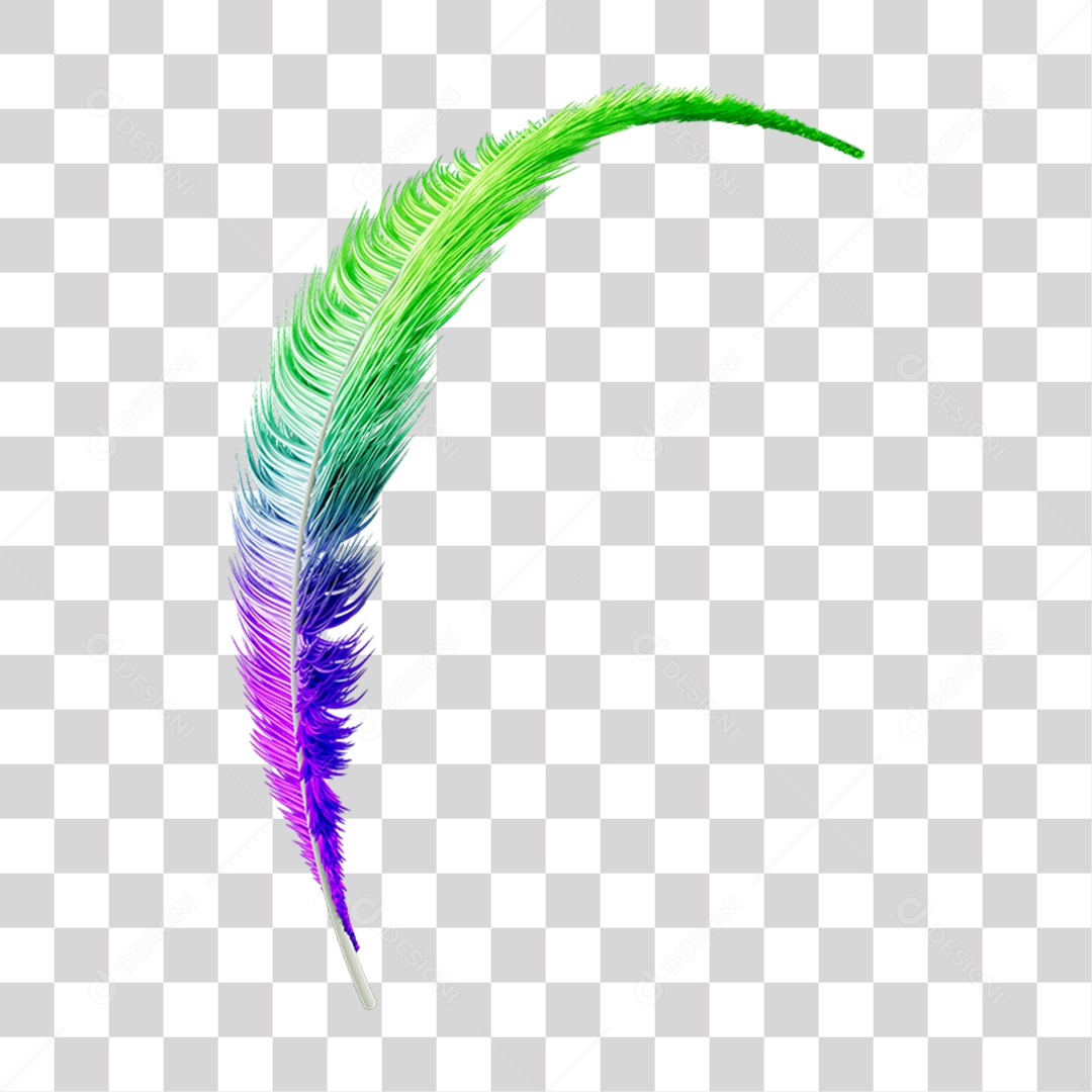 Pena Decoração Enfeite de Carnaval PNG Transparente