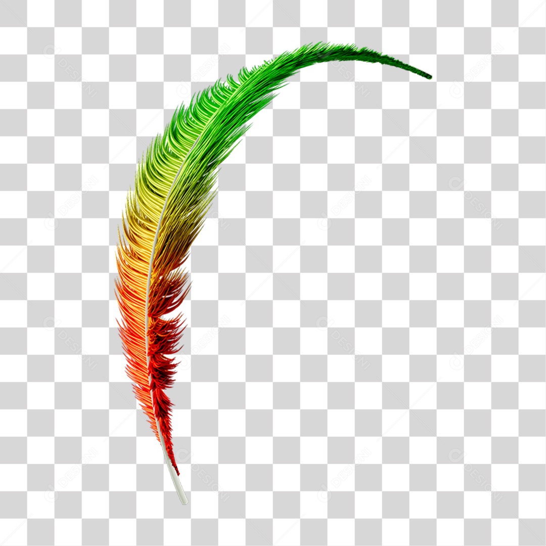 Pena Decoração Enfeite de Carnaval PNG Transparente