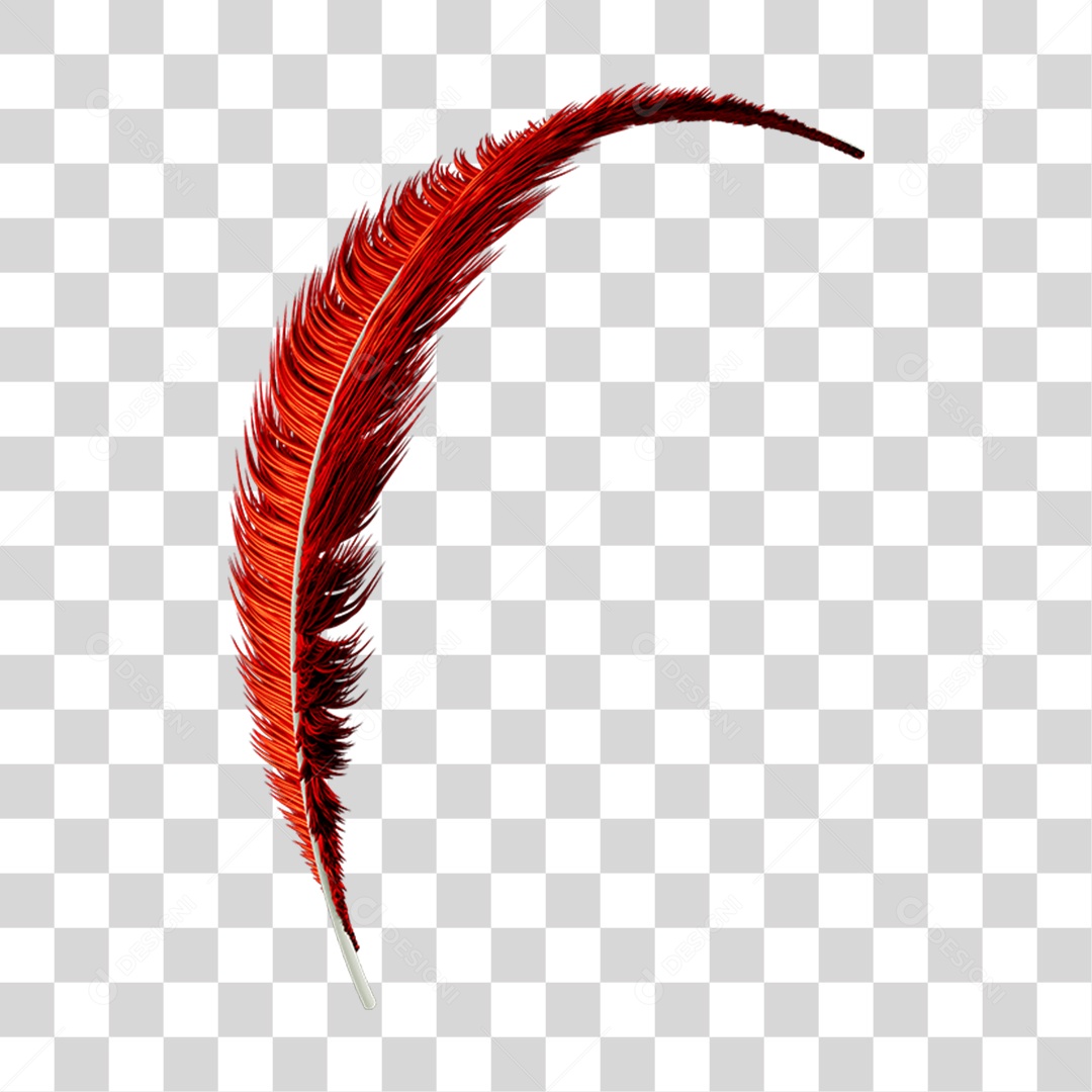 Pena Decoração Enfeite de Carnaval PNG Transparente