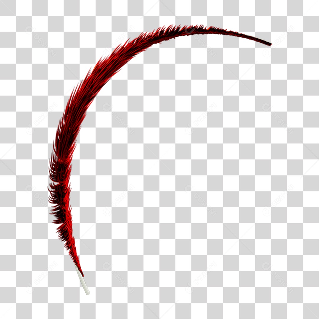 Pena Decoração Enfeite de Carnaval PNG Transparente