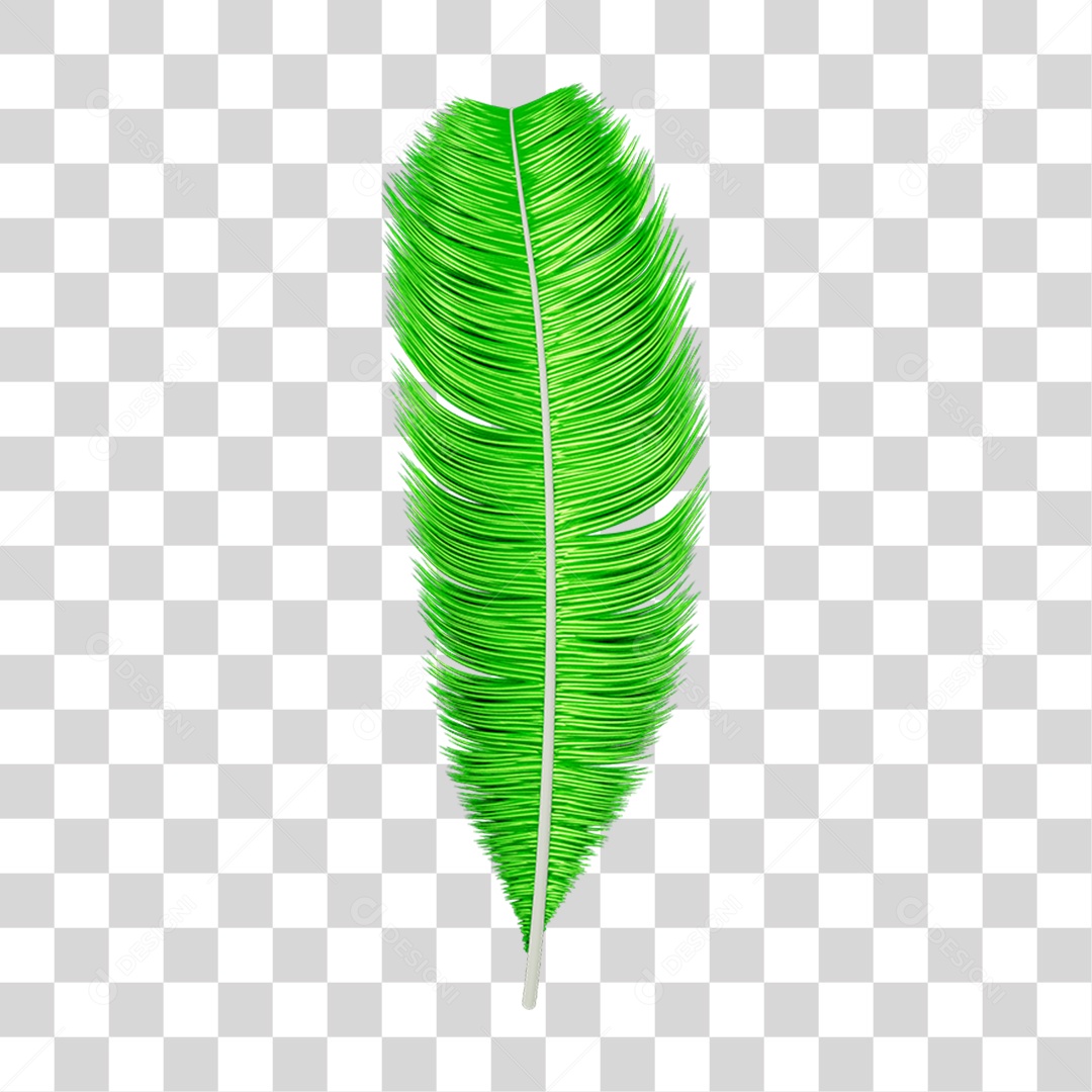 Pena Decoração Enfeite de Carnaval PNG Transparente