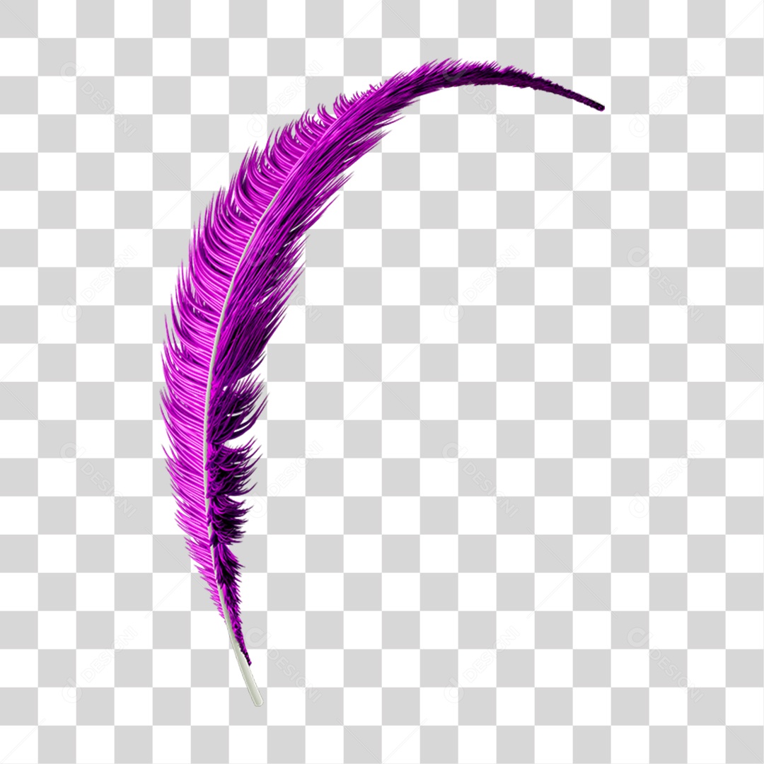 Pena Decoração Enfeite de Carnaval PNG Transparente