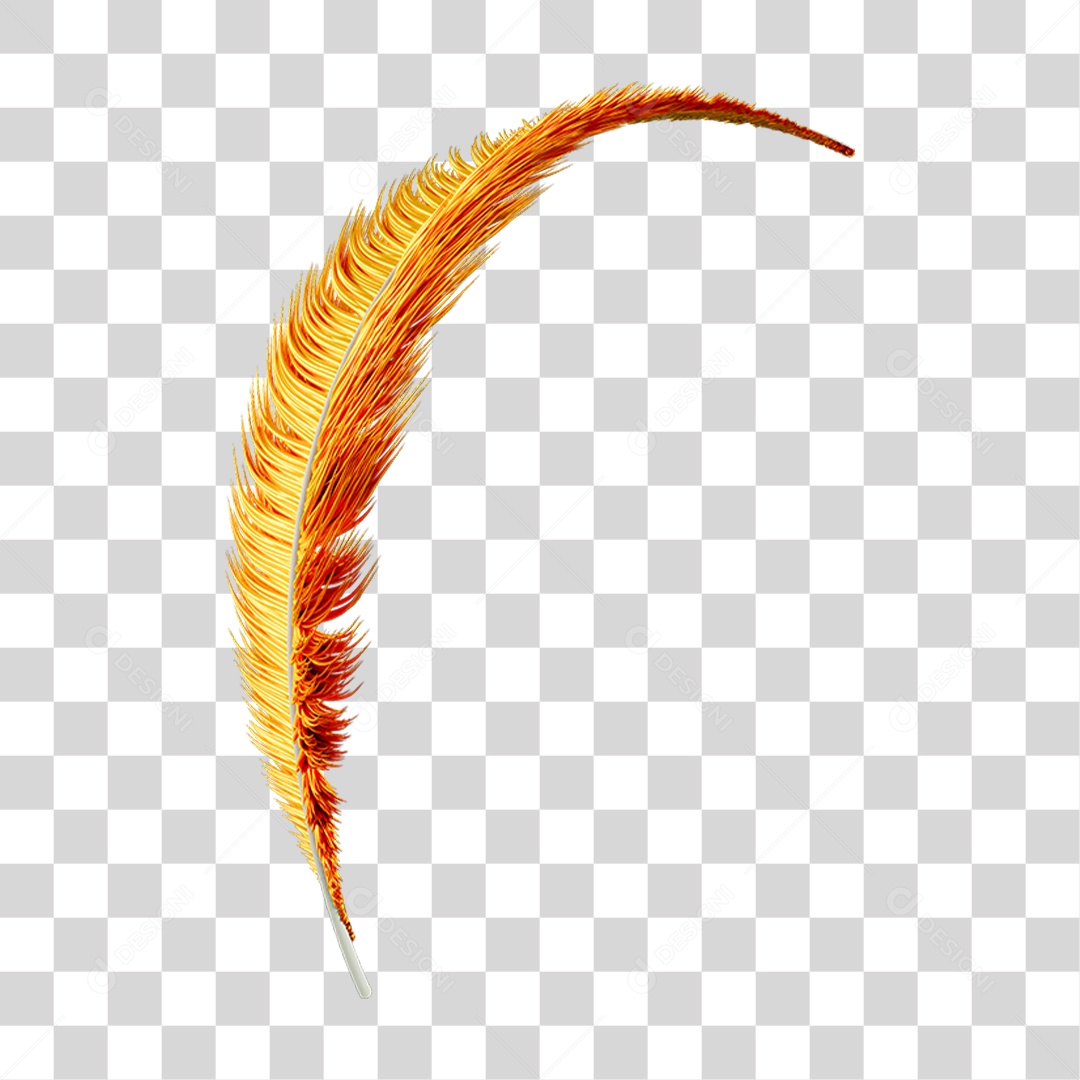 Pena Decoração Enfeite de Carnaval PNG Transparente