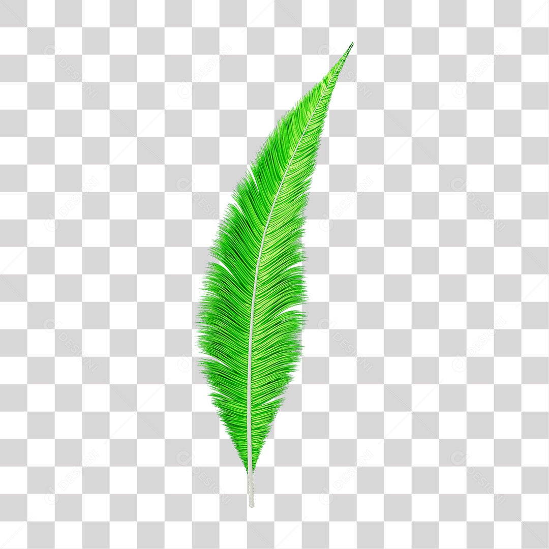 Pena Decoração Enfeite de Carnaval PNG Transparente