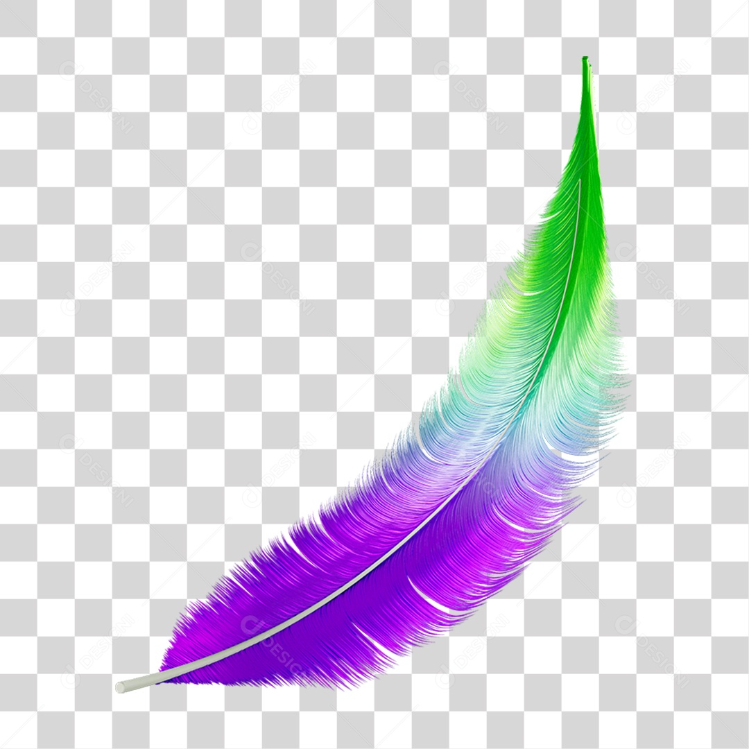 Pena Decoração Enfeite de Carnaval PNG Transparente